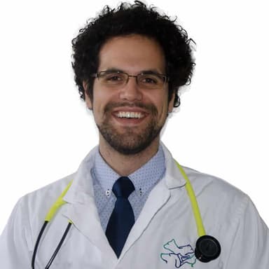 Dr. Ciarlillo