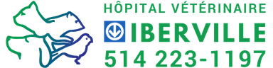 Hôpital Vétérinaire Métro Iberville