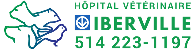 Hôpital Vétérinaire Métro Iberville