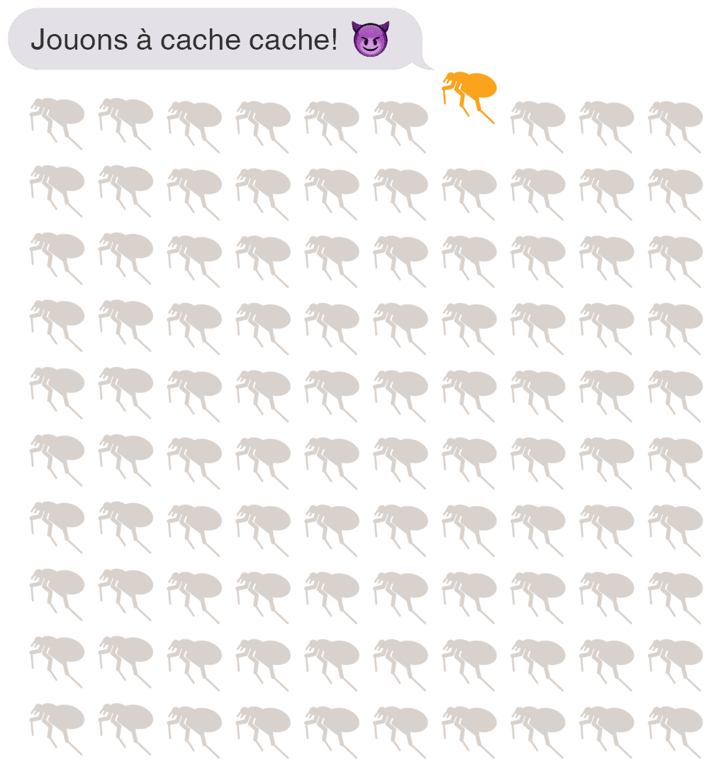 Pour chaque puce trouvée, il y en a 100 qui se cachent